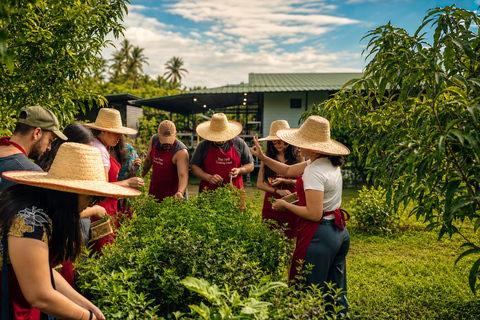 Chiang Mai: Thai Cooking Class with Market Tour & Farm Visit