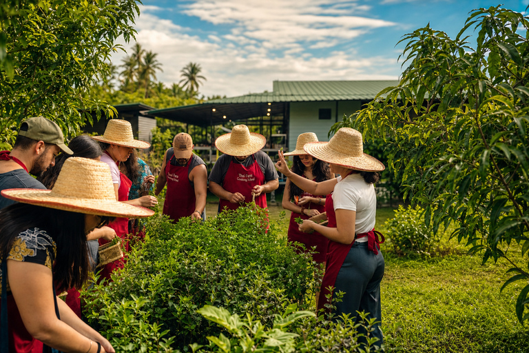 Chiang Mai: Thai Cooking Class with Market Tour & Farm Visit