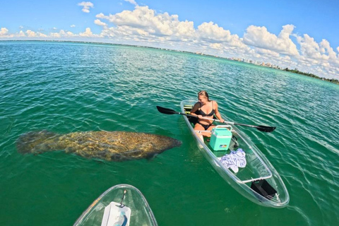 Sarasota: Clear Kayak Beach Hopping and Mangrove Tunnel Tour