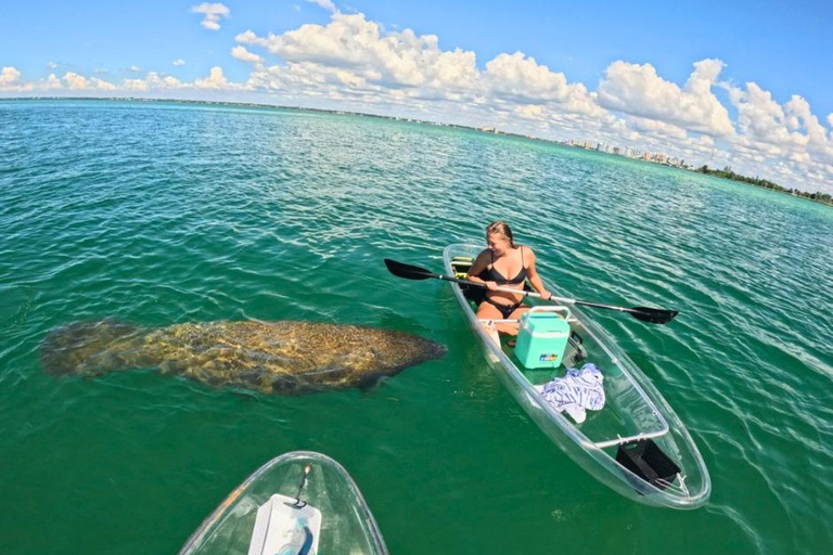 Sarasota: Clear Kayak Beach Hopping and Mangrove Tunnel Tour