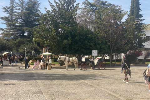 from Estepona, Marbella, Mijas: RONDA private tour incl. transportation and tapas