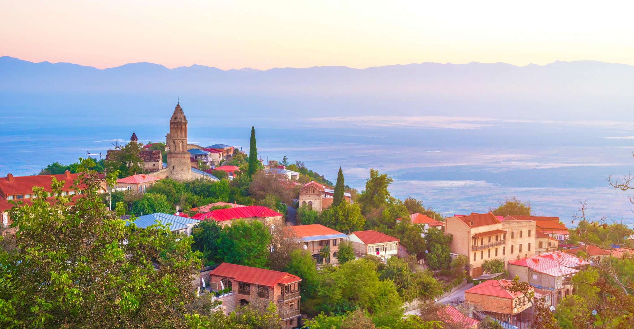 Виносодержащие чудовища, Signaghi, Bodbe, Telavi Group Tour - Hizvo