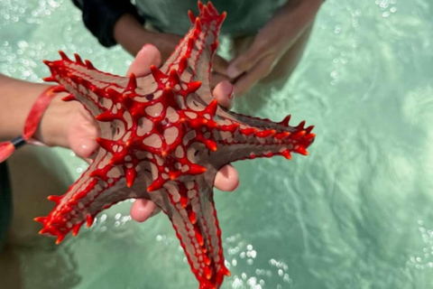 Ukryte skarby Zanzibaru: rozgwiazdy, Błękitna Laguna i restauracja The RockWycieczka prywatna z odbiorem i transferem w cenie