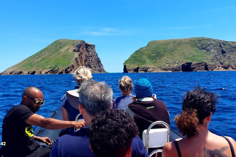 Insel Terceira: Ilhéu das Cabras Bootstour + SchnorchelnVon der Ilha Terceira: Ilhéu das Cabras Schnorchel Bootstour