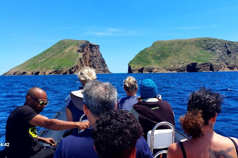 Insel Terceira: Ilhéu das Cabras Bootstour + SchnorchelnVon der Ilha Terceira: Ilhéu das Cabras Schnorchel Bootstour
