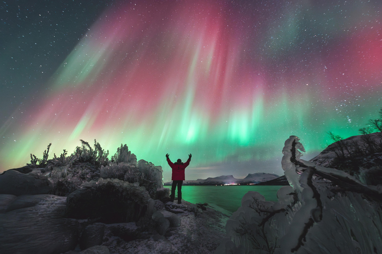 Abisko: Private Northern Lights Tour with Photos