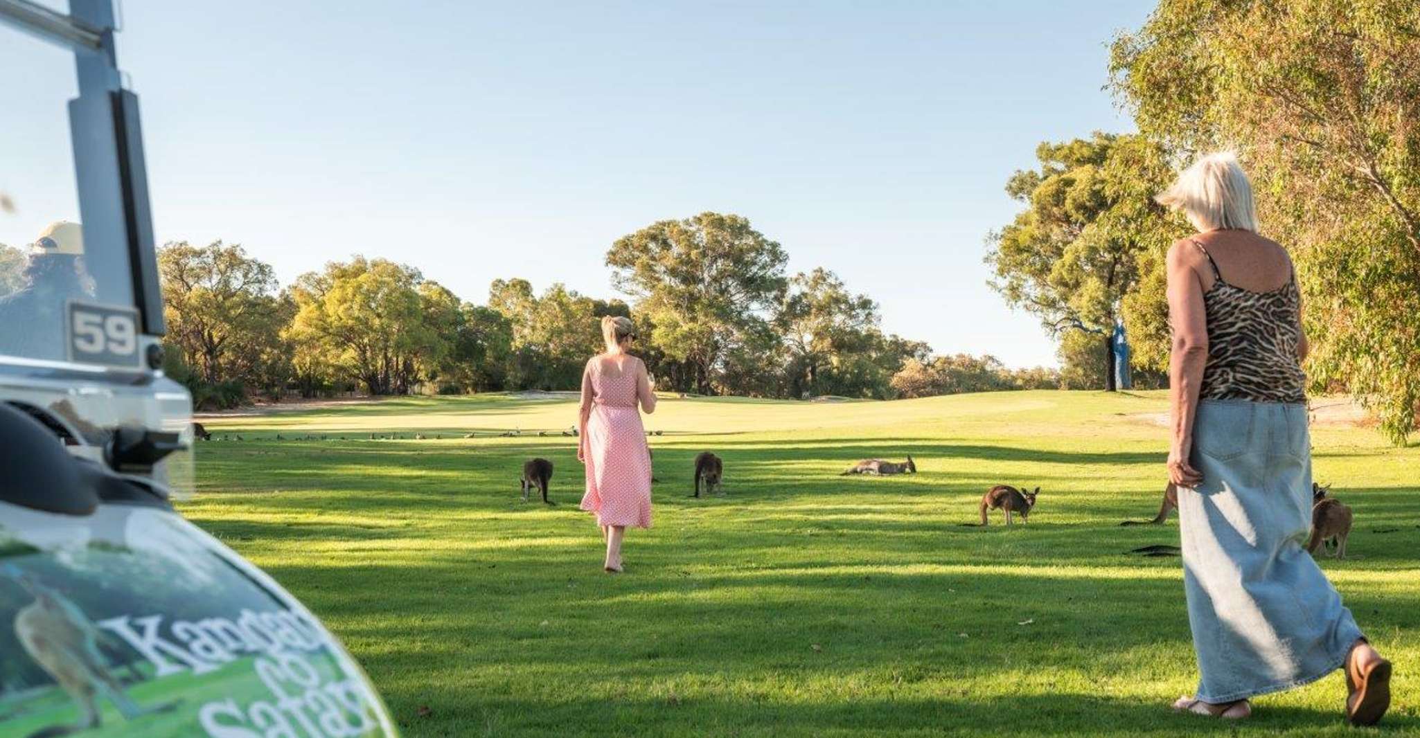 Swan Valley, Golf Cart Kangaroo Safari w/ Mini Golf & Drink - Housity