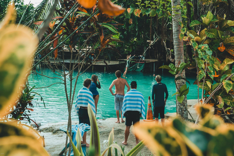 Port Vila: Taste, See and Swim Full Day Adventure in Vanuatu Taste, See and Swim Full Day Adventure in Vanuatu