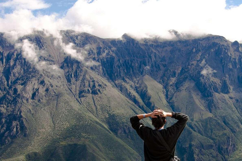 Da Arequipa: Colca Canyon tutto incluso | Giornata intera |