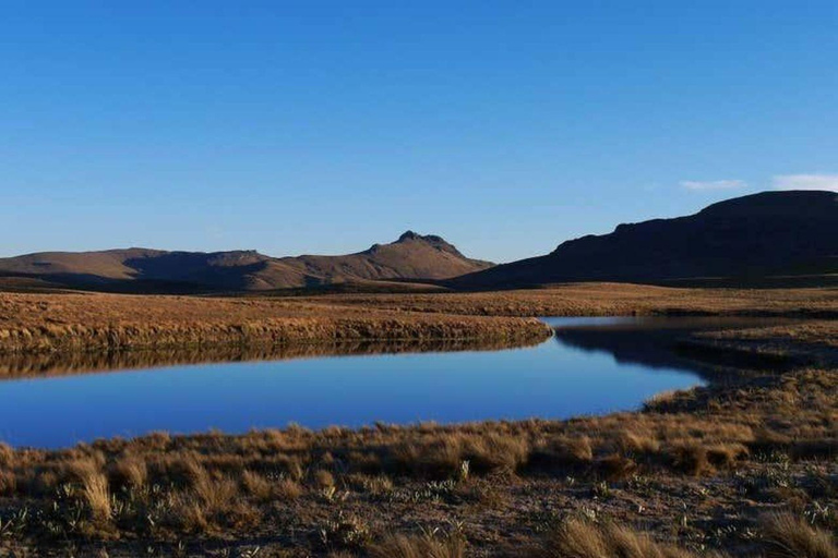 Cajamarca: Alto Perú Lakes Scenic Day Tour Cajamarca: Alto Perú Lakes & Río Rejo Tour – English Guide