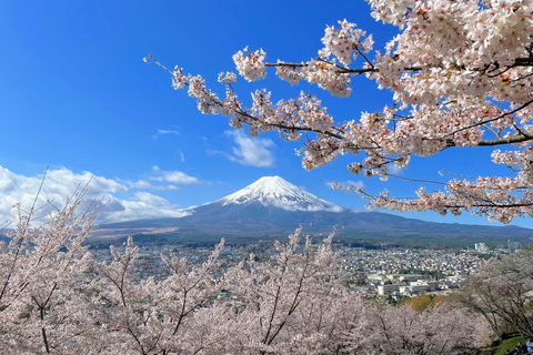 Tokyo: Mt Fuji, Lake Cruise and Noodles Making Experience Spectacular Fuji: Nature & Local Flavors