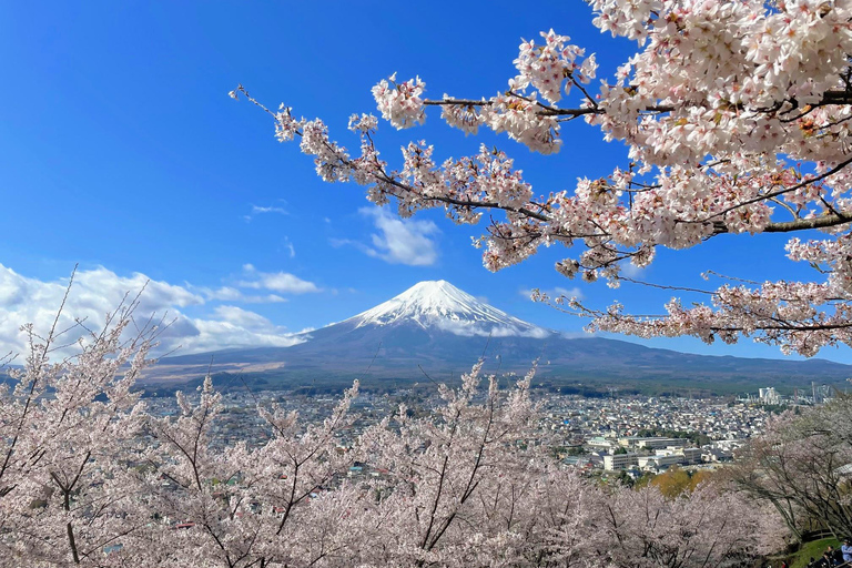 Tokyo: Mt Fuji, Lake Cruise and Noodles Making Experience Spectacular Fuji: Nature & Local Flavors