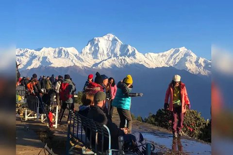Pokhara: Small Group 9-Day Ghorepani Poon Hill and ABC Trek