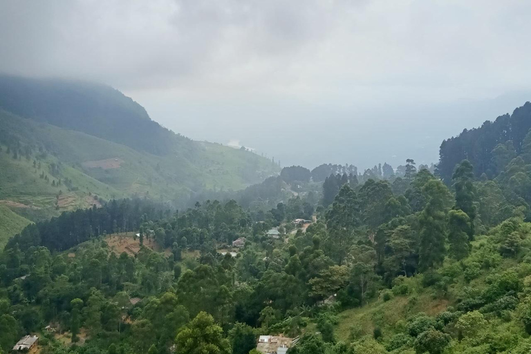 Sri Lanka: 10-Day Wildlife, Culture & Scenic Adventure