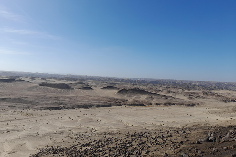 Swakopmund: Namib Desert Sunrise, Seals & Sandwich Harbour