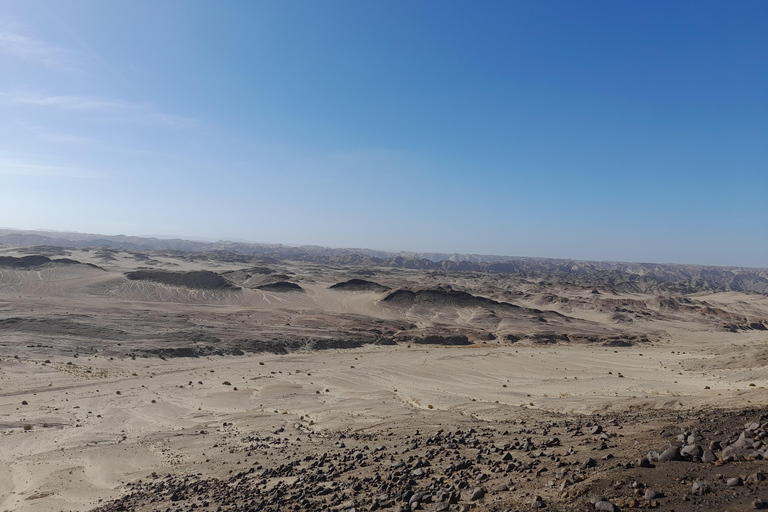 Swakopmund: Namib Desert Sunrise, Seals & Sandwich Harbour