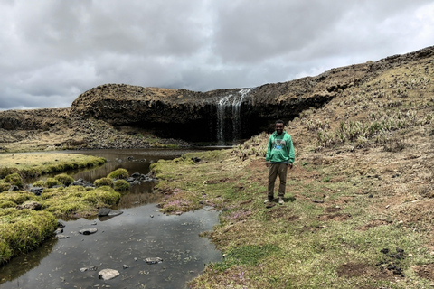 5-Day Bale mountain: wildlife hiking & Birdwatching tour
