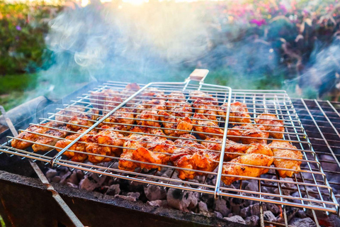 Île aux Bénitiers: zwemmen met de dolfijnen en barbecuelunch