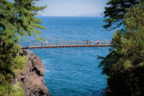 From Tokyo: Private Day Tour to Izu with Driver