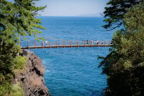 De Tóquio: Tour particular de um dia a Izu com motorista