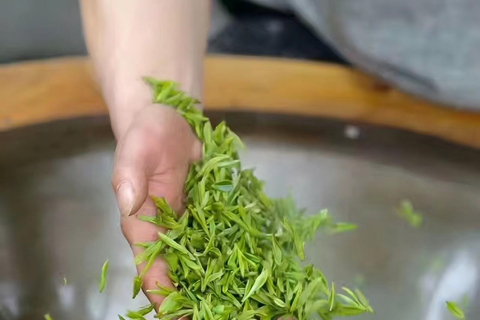 Hangzhou: Longjing Village Tea Picking and Tasting Tour