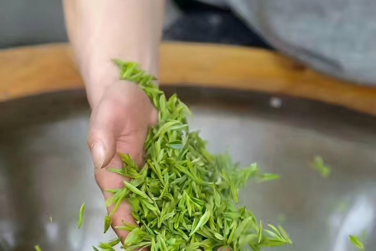 Hangzhou: Longjing Village Tea Picking and Tasting Tour