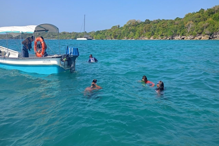 Daytour to Playa blanca with Snorkeling and racoon sighting