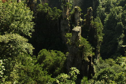 Zhangjiajie Day Hike: Primeval Peaks & Yaozi Village Loop