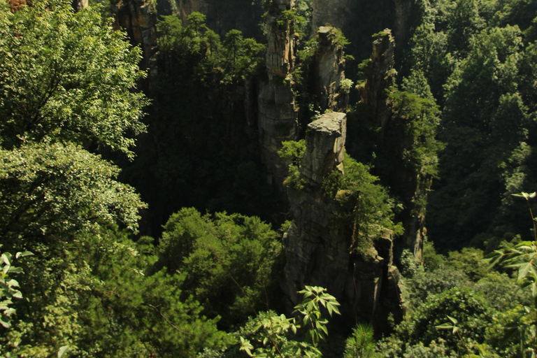 Zhangjiajie Day Hike: Primeval Peaks & Yaozi Village Loop