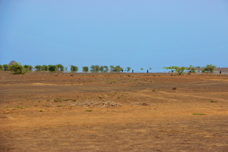 Sal Island: Small-Group Tour with Shark Bay & Blue Eye