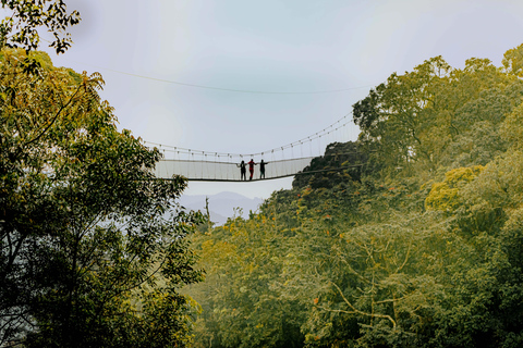 1 Tag Nyungwe Canopy Walkway Tour