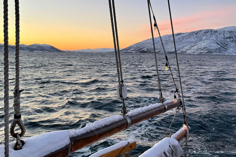 Full day boat trip by Hermes II to old trading post