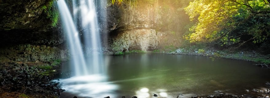 Byron Bay : Excursion d'une journée dans les chutes d'eau et les joyaux cachés de la baie