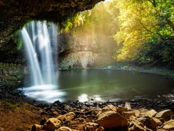 Byron Bay: Behind The Bay Waterfalls & Hidden Gems Day Tour