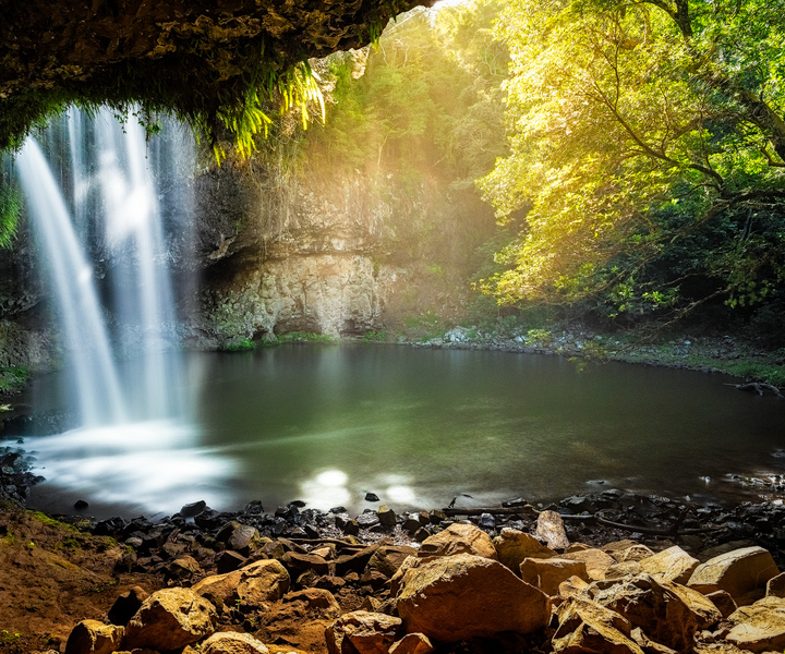 Byron Bay: Waterfalls and Hidden Gems Day Tour