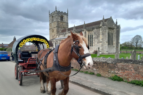 Horse drawn carriage ride and Picnic Hamper Horse drawn carriage ride and luxury picnic hamper