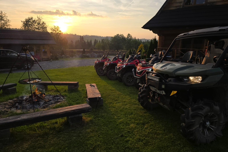 Zakopane: Snowmobile, Quad, or Buggy Tatra Mountains Tour