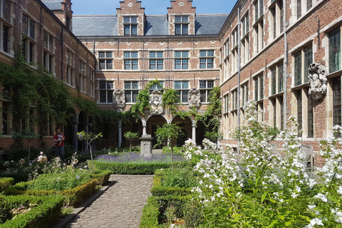 Antwerp: Guided Walking Tour with a Local