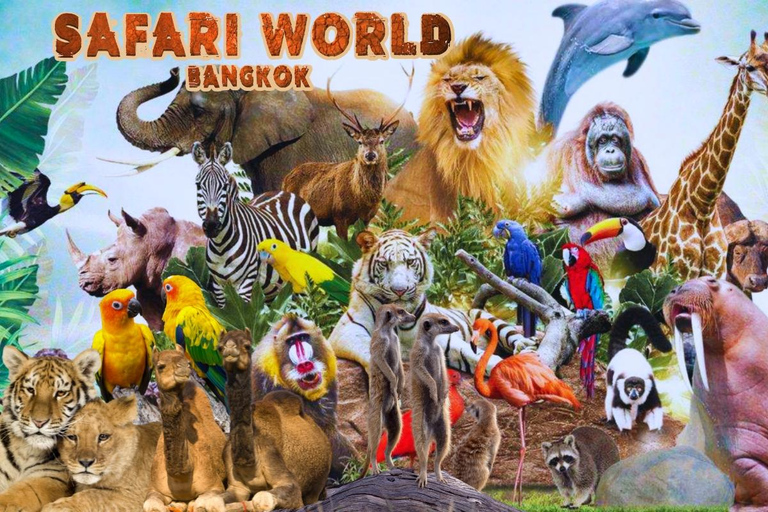 Bangkok: Safari World Transfer Service/ Biljett ingår ej