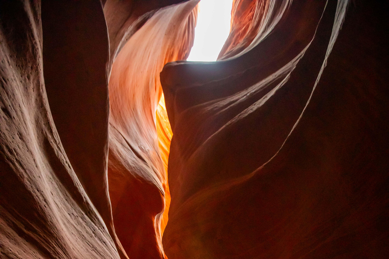 Orderville: East Zion Slot Canyons Award-Winning UTV Tour