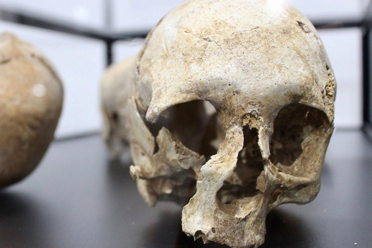 S. Teresa Gallura: Lu Brandali & Longosardo Tower ticket