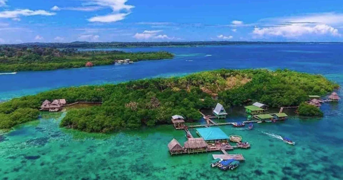 Bocas del Toro: Dolphin Bay, Chocolate Farm & Snorkel Tour | GetYourGuide