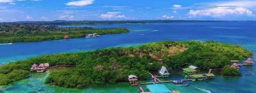 Bocas del Toro : Dolphin Bay, chocolaterie et snorkeling