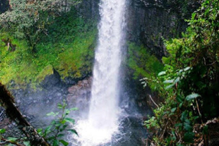 内罗毕：3日阿伯达雷国家公园经济型Safari内罗毕：3天阿伯达雷国家公园经济型Safari之旅