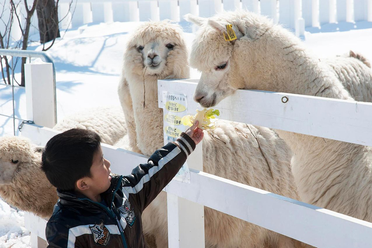 Excursion d&#039;une journée à Hokkaido : Zoo d&#039;Asahiyama, Biei et terrasse de Ningle