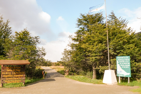 Ushuaia: National Park & Train of the End of the World Tour