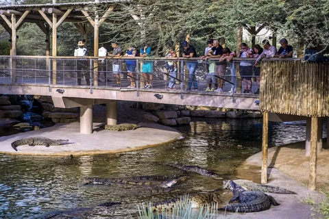 Agadir: Souss-Massa National Park & Crocopark Tour