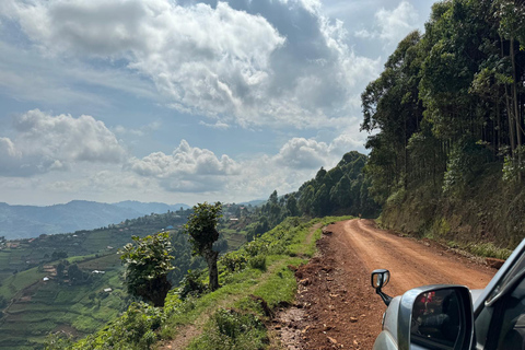 Safari económico de 3 días de senderismo por los gorilas en Uganda