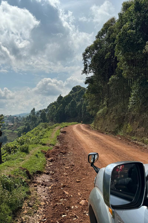 3 Days of Gorilla Trekking Budget Safari in Uganda | GetYourGuide