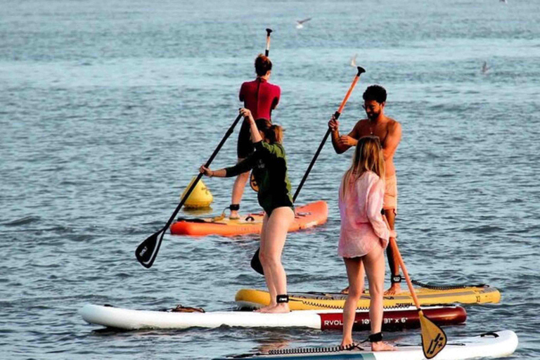 Saint-Laurent-du-Var: Paddle Board Rental near CAP3000